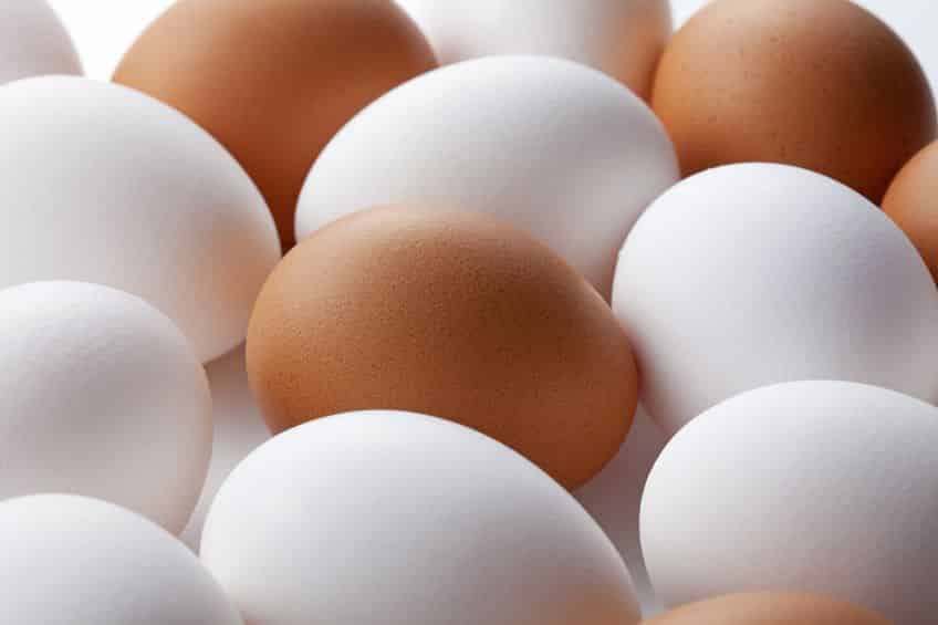 卵を長持ちさせる方法は？に関する雑学