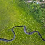 世界の長い川ランキングに関する雑学
