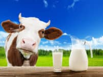 牛乳はペットボトルで販売すると違法になる？という雑学