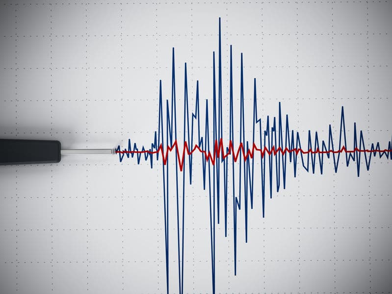 オジギソウは地震を予知できる！？というトリビア