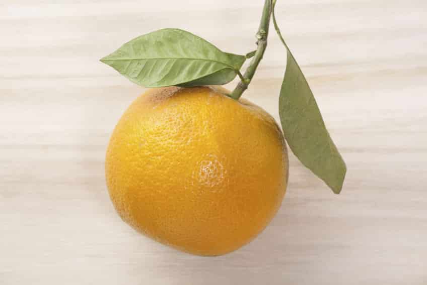 橙は縁起が良い果物についてのトリビア