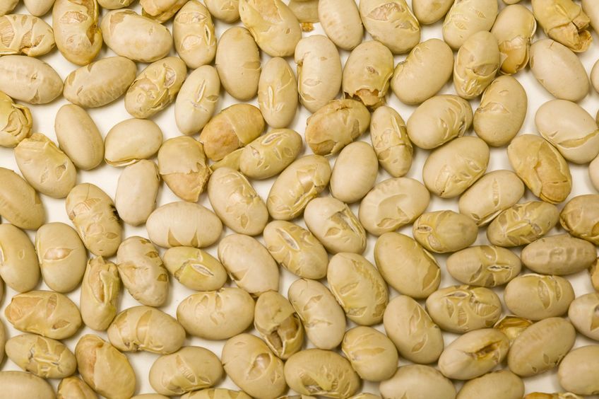食べる豆の数についてのトリビア