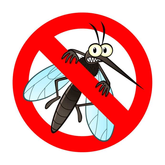 蚊は産卵期のメス以外は無害という雑学