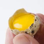 スーパーで買ったうずらの卵を温めるとヒナが孵ることがあるという雑学