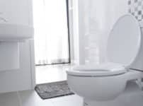 トイレのふたの最大のメリットは節電？に関する雑学