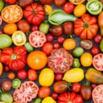 トマトの品種が驚きの進化をしているという雑学