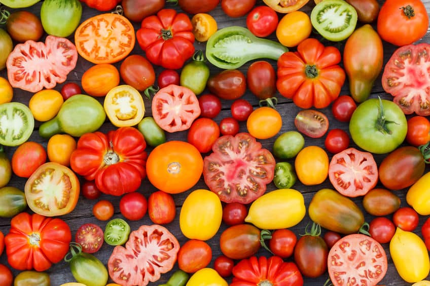 トマトの品種が驚きの進化をしているという雑学