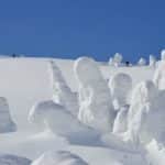 山形県では冬になると「スノーモンスター」が現れるという雑学