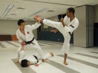 少林寺拳法は日本発祥の武道だったという雑学