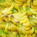 バナナは親と同じ遺伝子をもっているという雑学