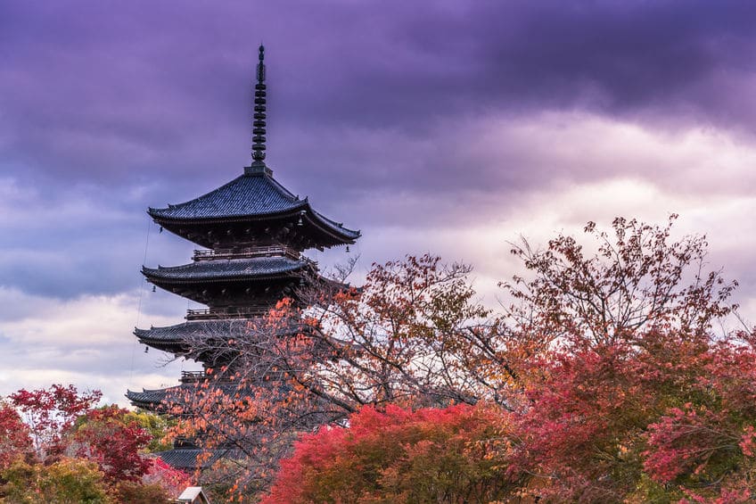 日本一番高い木造建築は、京都・東寺の「五重塔」という雑学