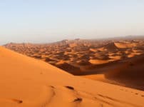 サハラ砂漠の「サハラ」は砂漠という意味という雑学